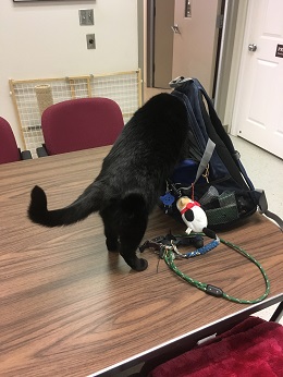 Angie in backpack Angie in backpack